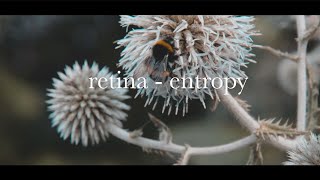 Retina - Entropy (Official Video)