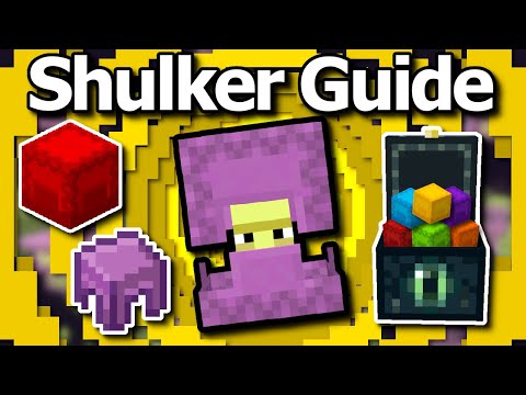 Minecraft 1.21 Shulker Guide - Duplication, Shulker Boxes, Enderchest Storage