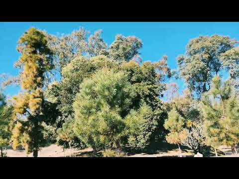 Paisaje Estancia Anchorena