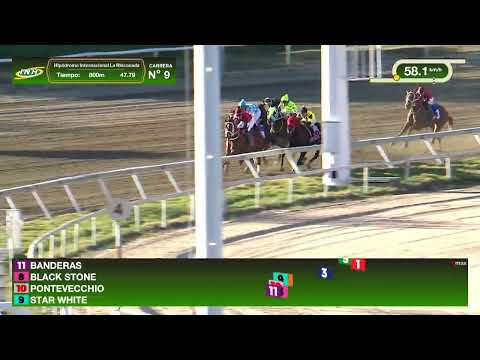 C17| LXXVII Clásico Inauguración “Francisco de Miranda” | Banderas| Hipódromo La Rinconada|R02| 2026