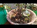 These Are Normal Vlogs For The First Time I Am Trying Please Support Me