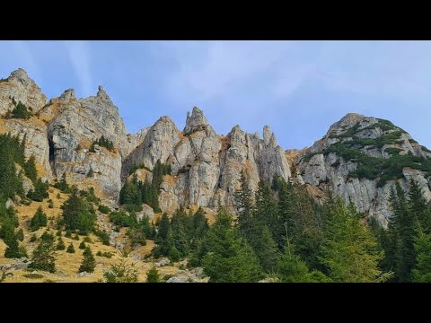 Vf. SCARA 2422 m - șaua HORNURILOR 2311 m - vf. OMU 2507 m - valea CERBULUI - cab. GURA DIHAM 1000 m