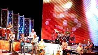 Jimmy Buffett- Scarlet Begonias