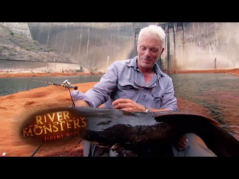 Killer Vundu Caught | VUNDU | River Monsters