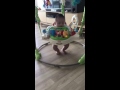 Smile Baby With Fisherprice