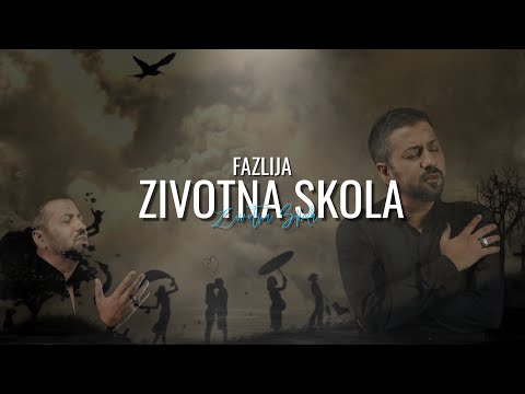 Fazlija - zivotna skola (2014)