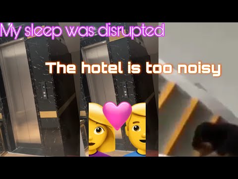 Screaming Couple In Hotel