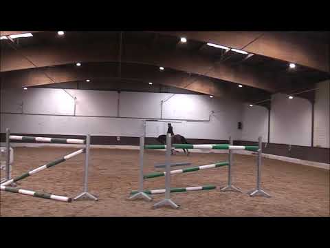 Mister Memphis 8j v. Memphis - Centadel VB 20000,- Euro