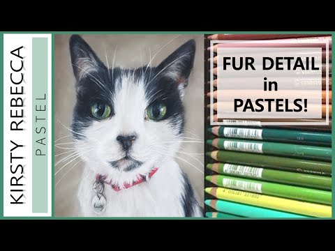 HOW TO DRAW WITH PASTEL PENCILS // A realistic cat!