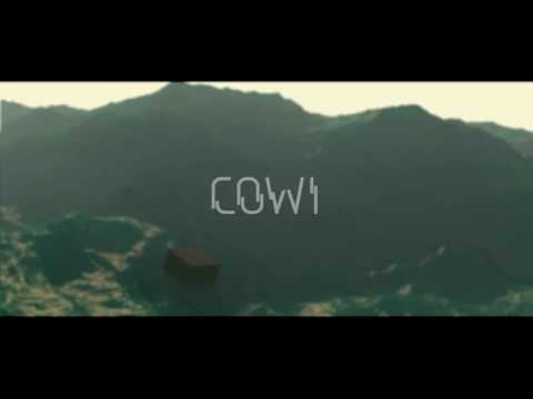 C0WI - ANQRY