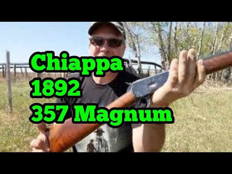 Chiappa Firearms 340.225 Rhino 60 DS #pewlife #pewpew