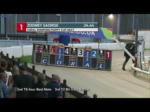 2021 ROMFORD PUPPY CUP - HEAT 3 - T1 ZOOMEY SAOIRSE