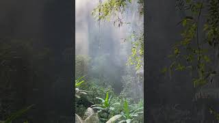 The Phong Nha Ke Bang National Park | The Best Things to Do in Vietnam 🇻🇳  #Shorts #Vietnam