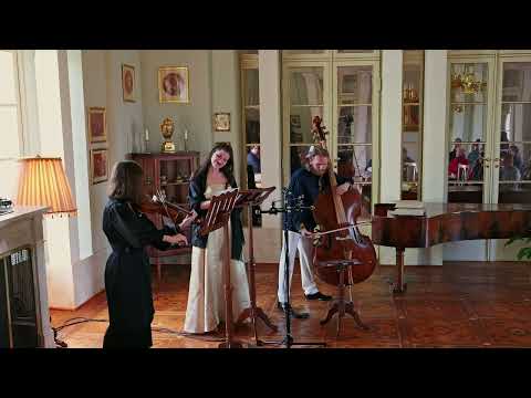 Giuseppe Cenci - Giuseppino del Biado: Fuggi fuggi fuggi da questo cielo - Viennese Tuning Times