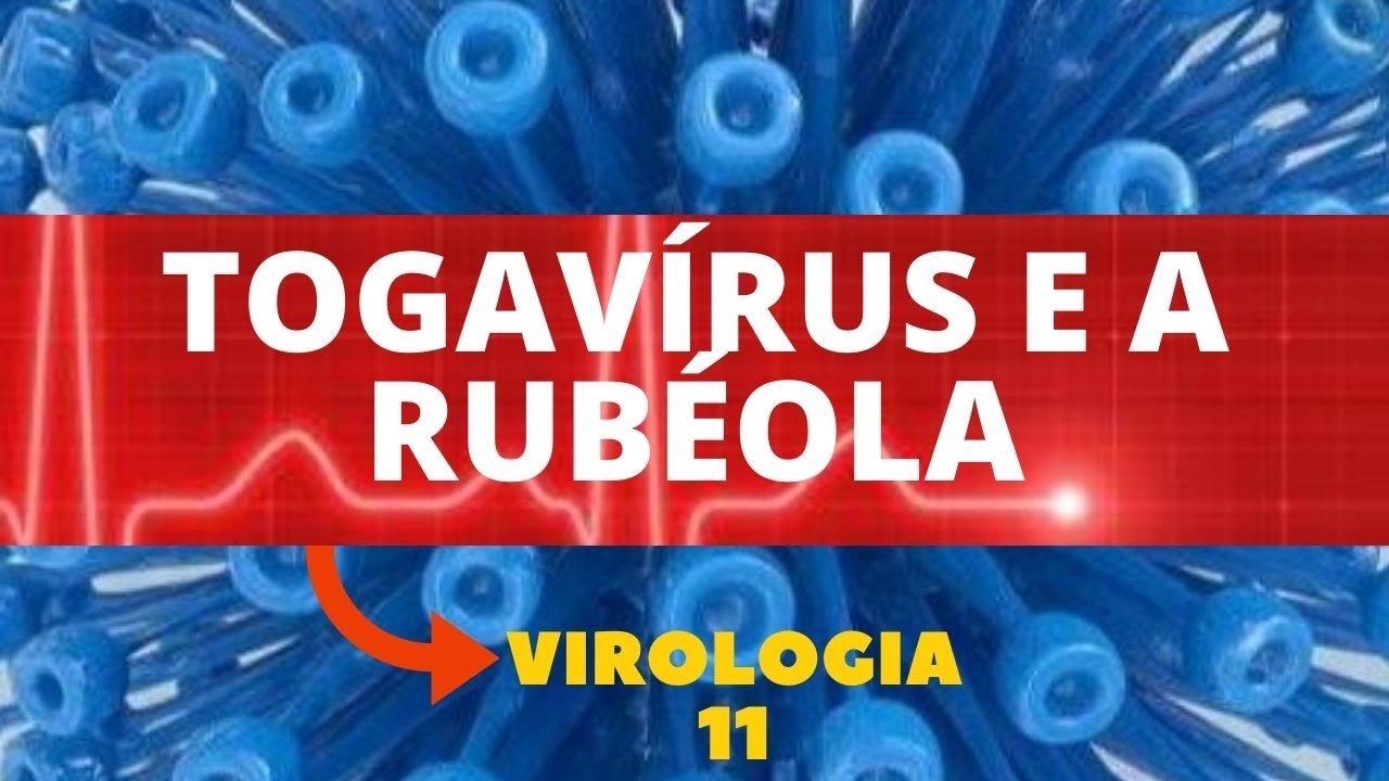 TOGAVÍRUS E A RUBÉOLA - VIROLOGIA - AULA 11