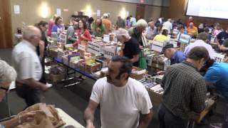 Overbooked: A Look at the June Book Sale
