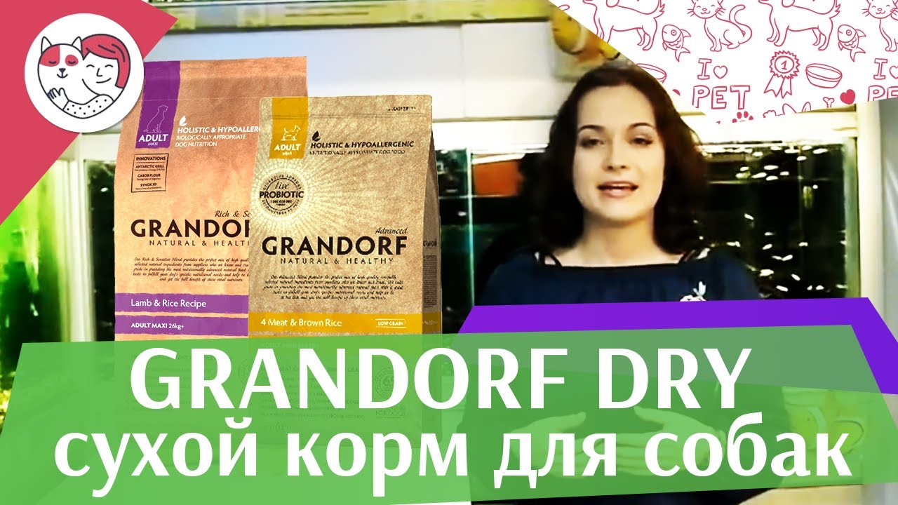 GrandorfDry на ilikepet
