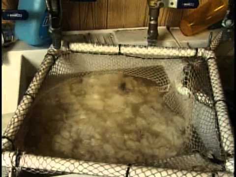 Wool Processing in a Fiber Mill Part 1 of 3