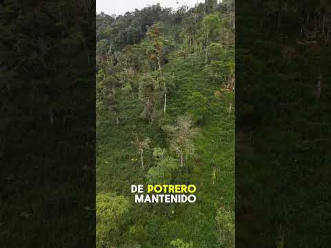 ¡La finca de tus sueños, totalmente equipada y con vertiente de agua natural, te está esperando! 🏡💧🌲