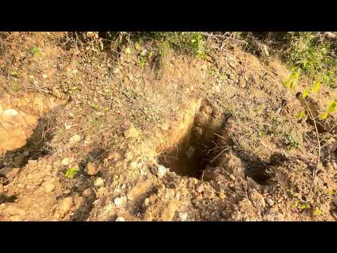 Part - 3 Teak Plantation - Land Preparation 