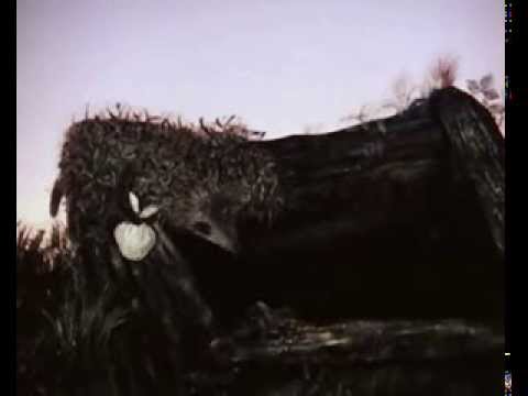 afbeelding Hedgehog in the Fog Horror Trailer\Ёжик В тумане трейлер