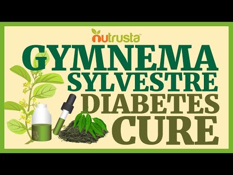 Gymnema sylvestre cure for diabetes