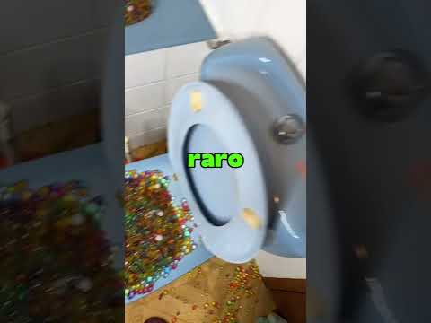 Nunca Eches Orbeez en la Bañera de Tus Padres 💀