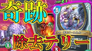 【ドラクエライバルズの亡霊に届け】ゴースネル＆ムカデの除去タッグ!! 奇跡テリーVS床アリーナ【DQR】