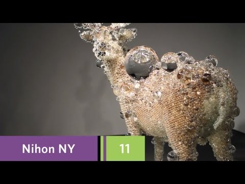 Nihon NY - Episode 11 - Bye Bye Kitty!!!