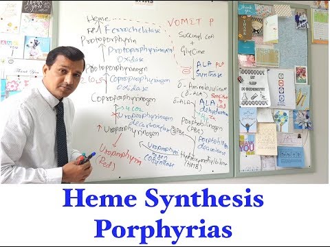 Heme synthesis and Porphyria