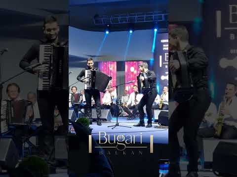 Razgovor Bugari Balkan harmonika - Radovan Ivanovic i Jovan Pajovic - Sokobanja 2024