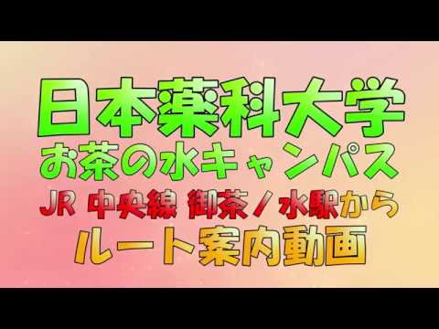日本薬科大学お茶の水キャンパス（御茶ノ水駅ルート）