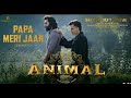 ANIMAL: PAPA MERI JAAN (Song) | 8D Audio| Ranbir Kapoor | Anil K,Rashmika M