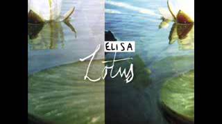 Electricity   Elisa   karaoke by Felice Tazzini