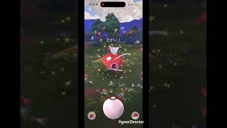 ダイコイキング #pokemongo #pokemon #ポケgo #pokémon