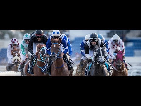 18th Race Meeting of Season 2018 / 2019
