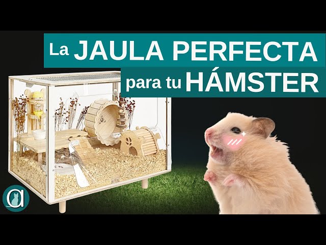 Video relacionado