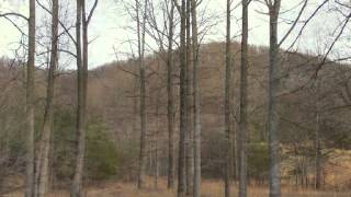 preview picture of video 'Dreamy Mountain Views on 16 Acres w/Division Rts!'