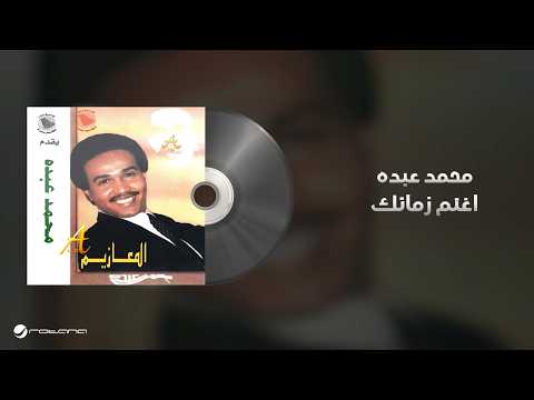 كلمات اغنية اغنم زمانك