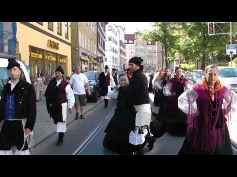 Danetzare 2011 - 7. Internationales Folklorefestival, Festumzug