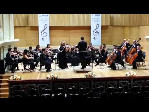 Concert Camerata Regala! Sibiu 2016