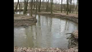 Dědina nad Českým Meziříčím (Finntroll - Bakom Varje Fura)