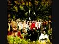 DEVENDRA BANHART La pastorcita perdida 