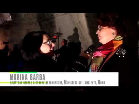 XYLELLA REPORT di Maria Luisa Mastrogiovanni salviamo gli ulivi del Salento