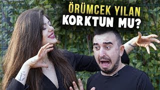HALİL SÖYLETMEZ WS ÖRÜMCEK YILAN KORKTUN MU ?