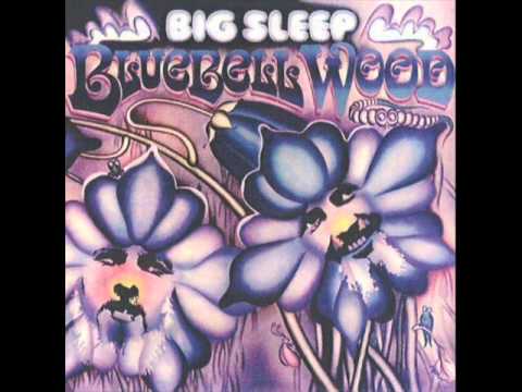 Big Sleep - Auntie James  [UK Prog/Psych 71]