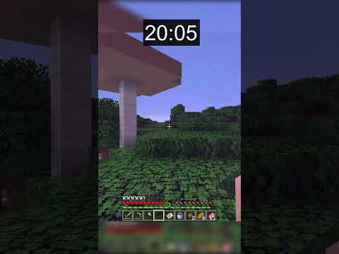 Minecraft SPEEDRUN in 25 Seconds WORLD RECORD