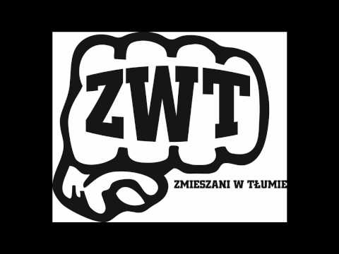 ZWT-Pozytywny Punkt Widzenia