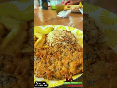 Ruta libertadora 🇧🇫🌅  #Tamara #PazDeAriporo #porecasanare #casanarecolombia #turismo llanero