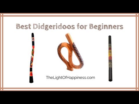 Best Didgeridoos for Beginners (2022 Buyers Guide)